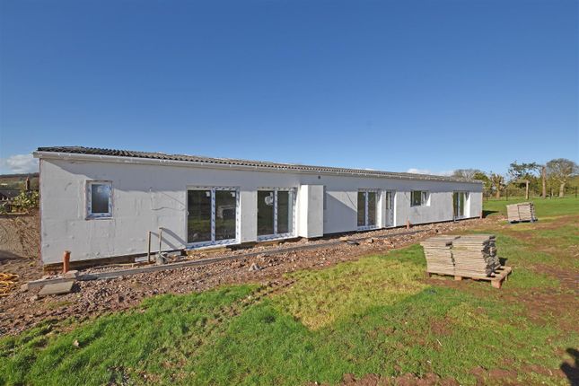 Semi-detached bungalow for sale in Westcott, Cullompton