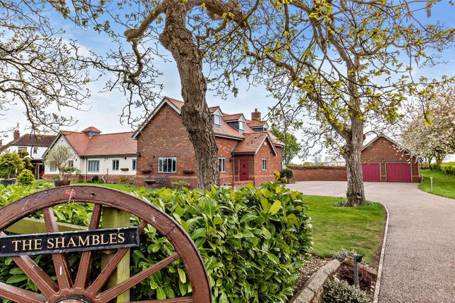 Thumbnail Detached house for sale in School Road, Neatishead, Norwich, Norfolk