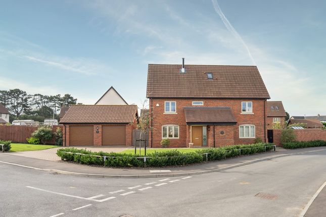 Thumbnail Detached house for sale in Colman Way, East Harling, Norwich