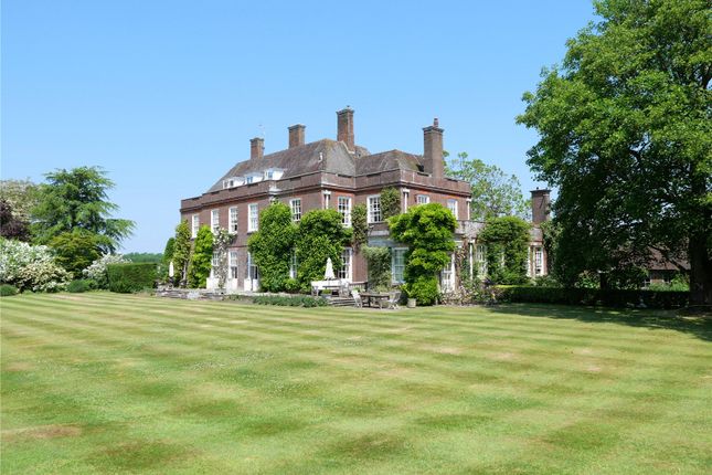 Rear Elevation