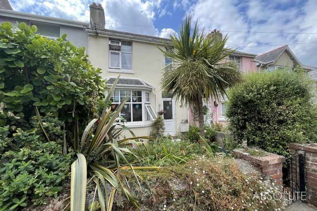 Thumbnail Semi-detached house to rent in Lower Shirburn Road, Torquay