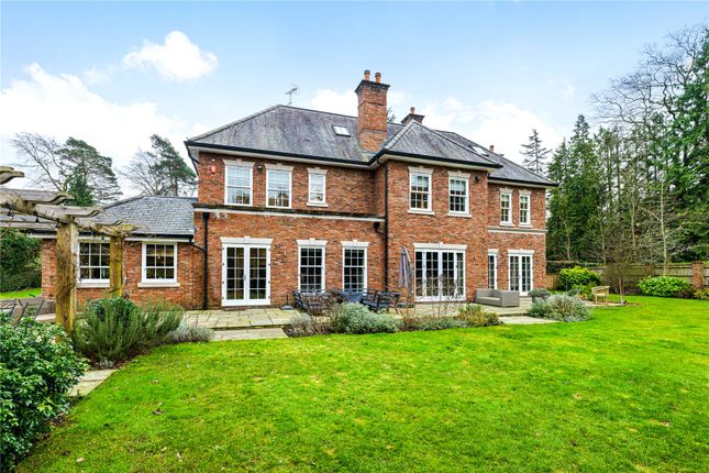 Rear Elevation
