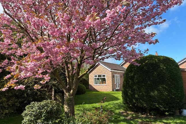 Trem Avon Mayfield Grove, Northwich photo 4
