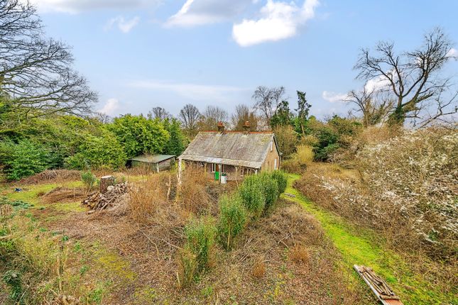Bungalow for sale in Petersfield Road, Monkwood, Alresford, Hampshire