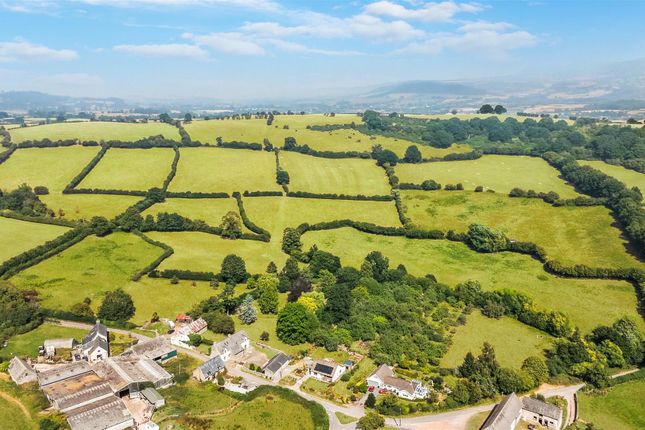 Middle House Farm, Tredomen, Brecon photo 2
