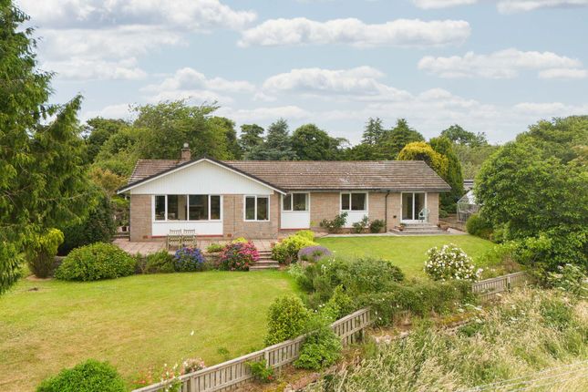 3-bed house on The Rowans, Berwick-Upon-Tweed, £490,000