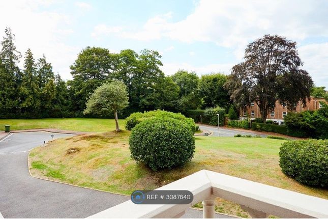 Tunbridge Wells photo 2