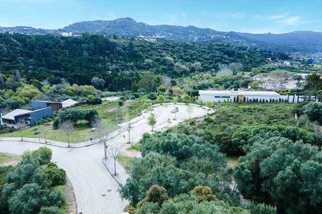 Thumbnail Land for sale in Cabriz (Santa Maria E São Miguel), S.Maria E S.Miguel, S.Martinho, S.Pedro Penaferrim, Sintra