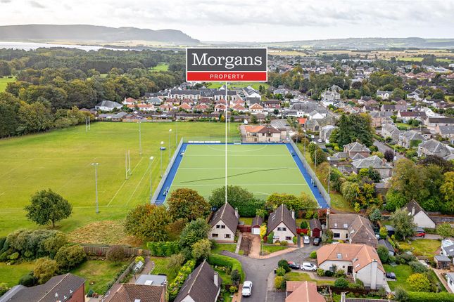 Untitled (27 Of 1).Jpg