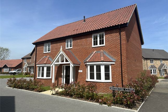 Thumbnail Detached house for sale in The Paddocks, Blofield Heath, Norfolk