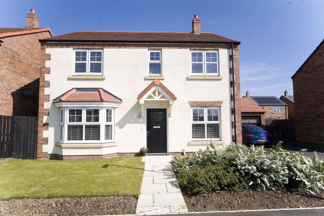 Thumbnail Detached house for sale in Redgrave Avenue, Hartlepool