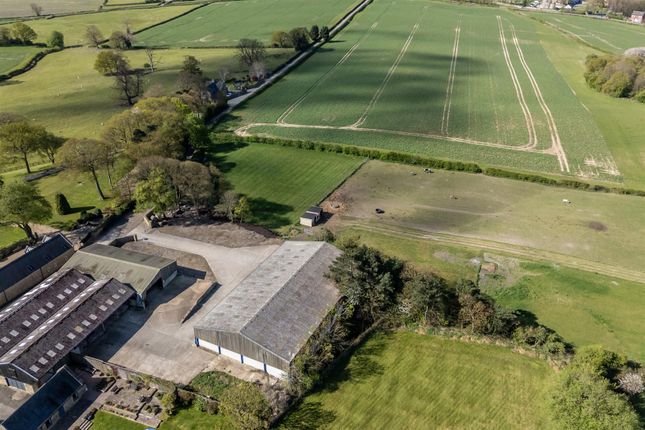 Mount View Farm