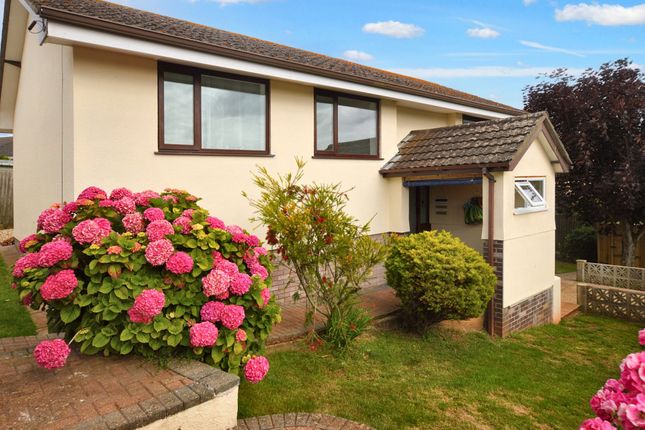 Thumbnail Detached house for sale in Windmill Hill, Brixham, Devon