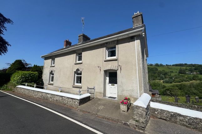Rampant Lion, Capel Dewi, Llandysul photo 2