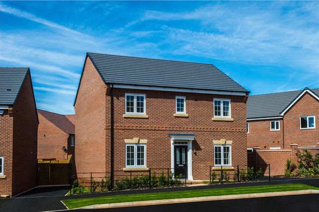 Thumbnail Detached house for sale in "Walton" at Starflower Way, Mickleover, Derby