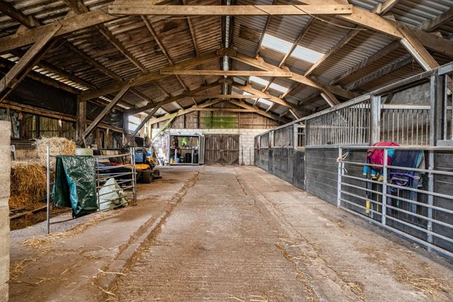 Beacon Farm, Penzance photo 5