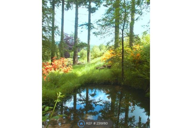 3rd Pool &amp; Azaleas