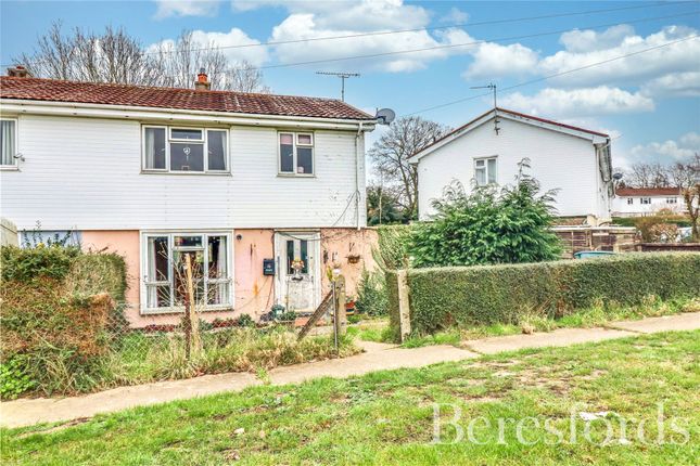 Thumbnail Semi-detached house for sale in Rosemary Avenue, Braintree