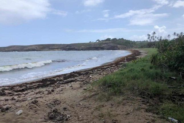 Thumbnail Land for sale in Land At Canelles, Beach Front Land At Canelles, St Lucia