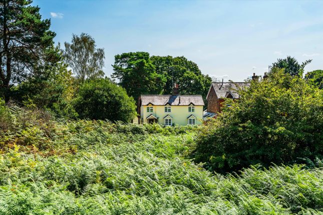 Heath Lane, Guildford photo 3
