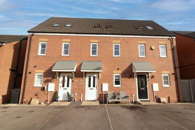 Front Horse Chestnut.Jpg