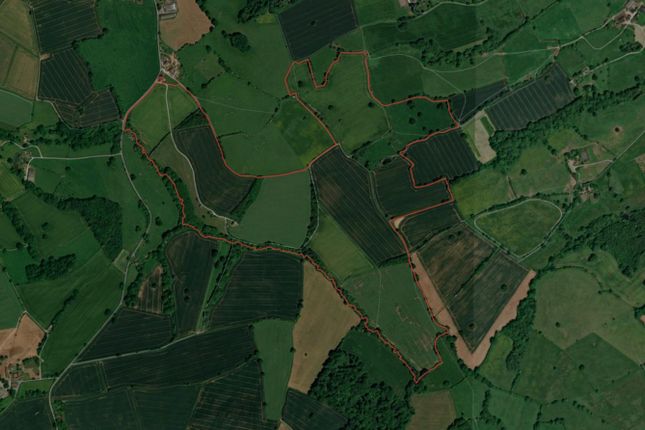 Aerial Site Whole Snipped.Jpg