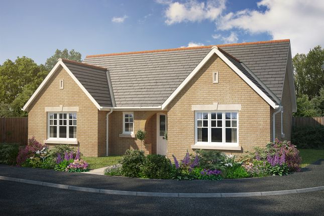 Thumbnail Detached bungalow for sale in King Street, Wimblington, March