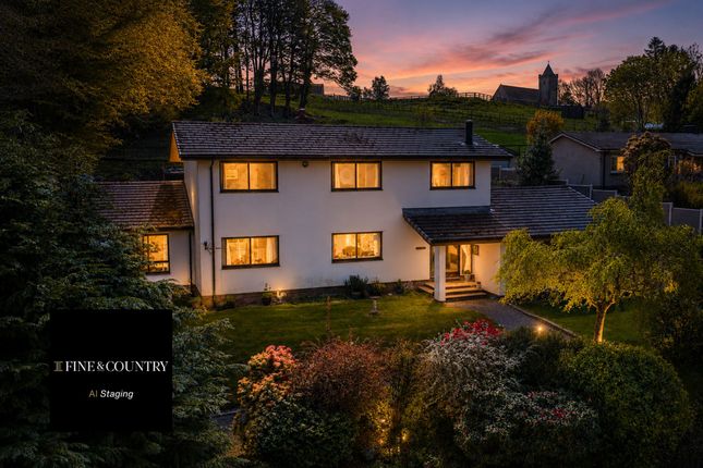Bedw Gleision, Ysbyty Ystwyth, Ystrad Meurig photo 2