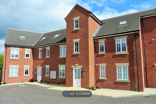 Thumbnail Flat to rent in Featherbed Close, Chesterfield