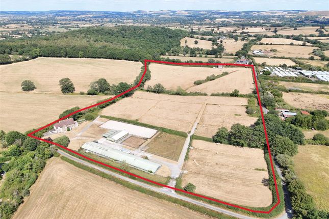 Mayfield Farm, New Road, Sturminster Newton photo 2