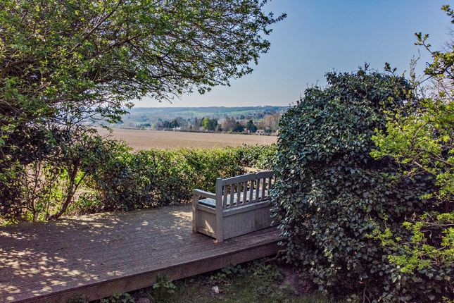 Garden/View