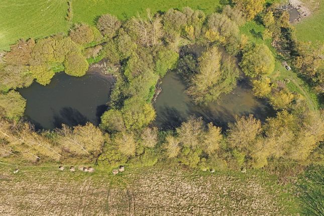 Fishing Lakes.Jpg