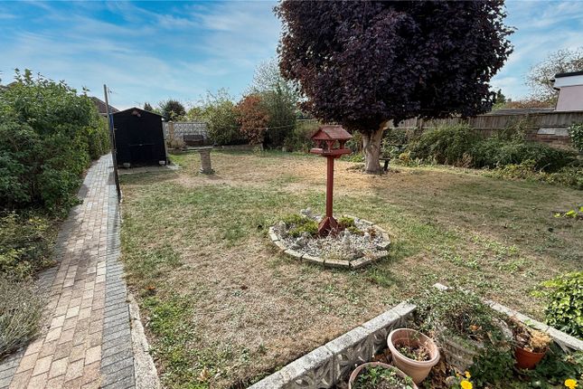 Long Lane, Essex photo 4