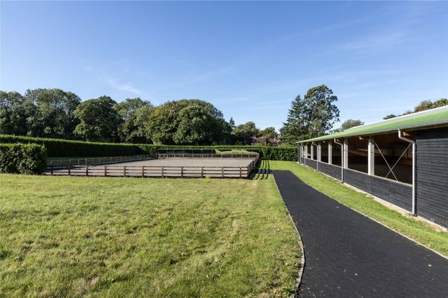 Arena And Manege
