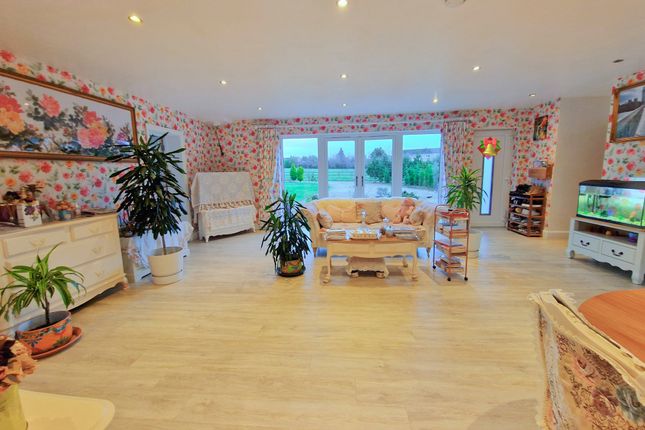Living Room 3