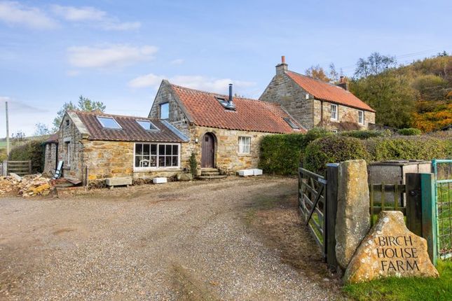 Birch House Farm, Green End, Whitby photo 3