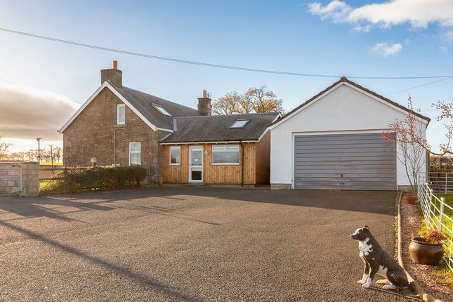 Thumbnail Commercial property for sale in Kennels &amp; Cattery, Crieff, Madderty