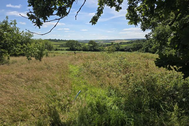 Bethow, with Land, North Petherwin photo 2