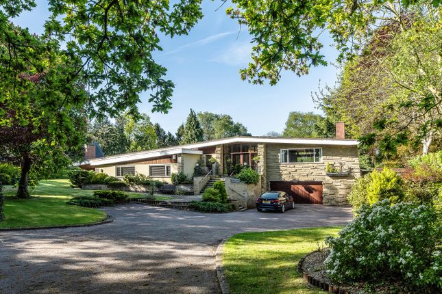 Thumbnail Detached bungalow for sale in Back Lane, Normanton On The Wolds