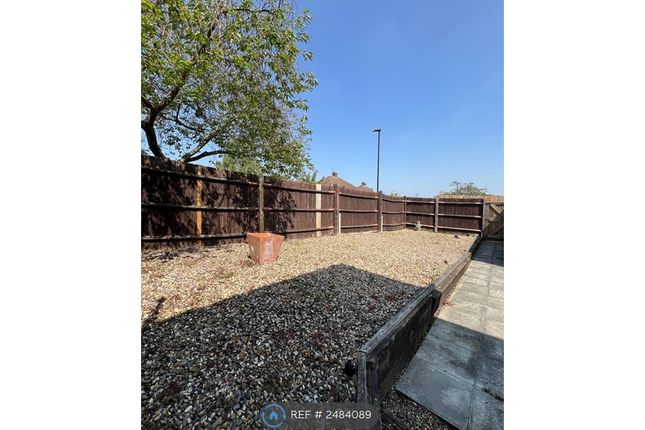 Back Garden