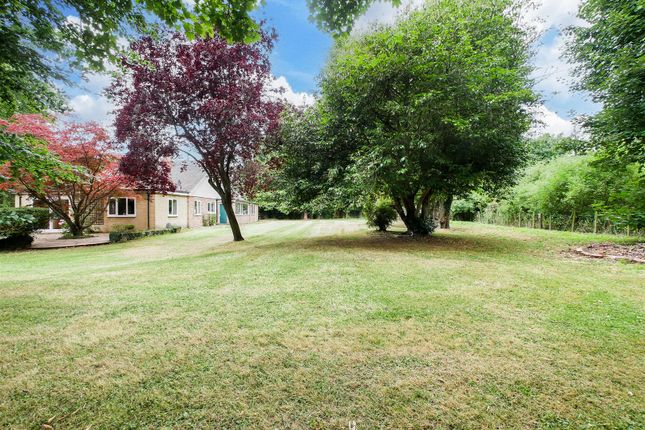 Thumbnail Detached house for sale in Court Drive, Shillingford, Wallingford