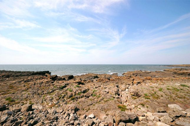 Flat to rent in Ocean View, 38 West Drive, Porthcawl