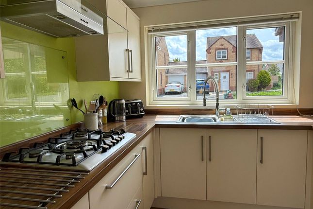 14, Higher Westlake Road, Barnstaple photo 4