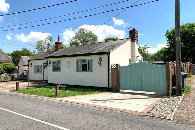 Detached house for sale in Mashay Cottage, Belchamp Road, Halstead