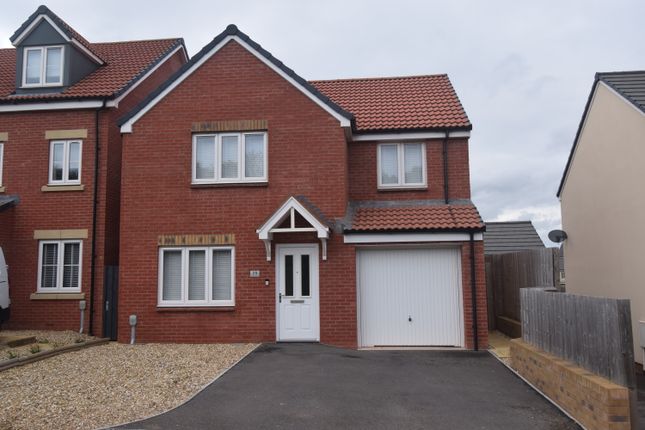 Thumbnail Detached house for sale in Pintail Avenue, Bridgwater
