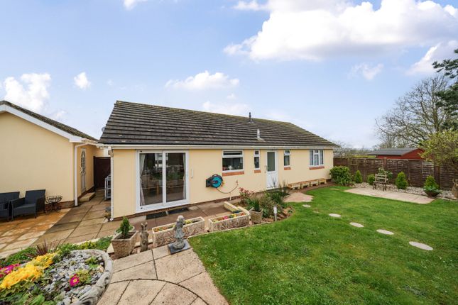 Detached bungalow for sale in Steed Close, Paignton