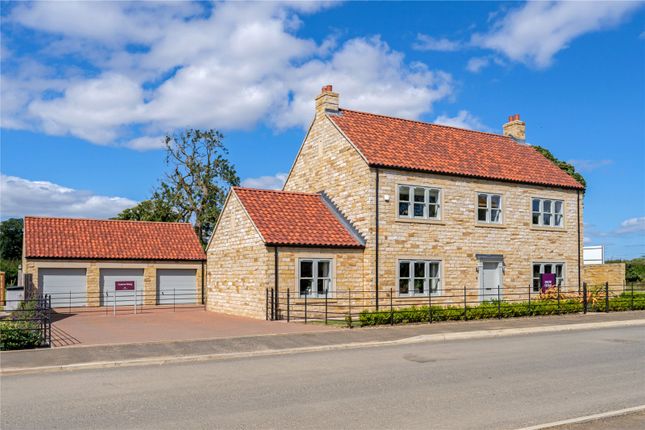 Show Home