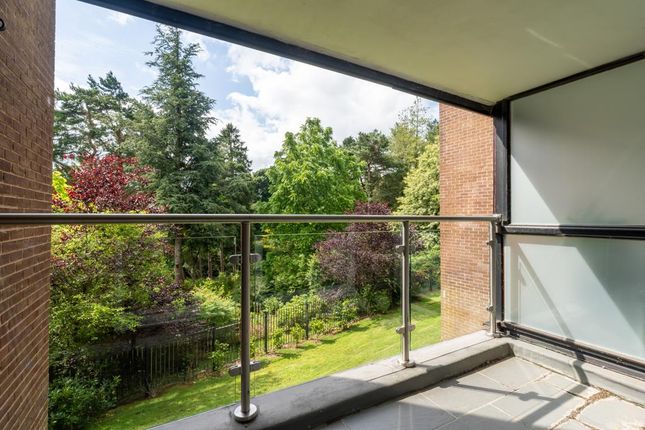 31 Whinfell Court, Whinfell Court, Sheffield photo 3