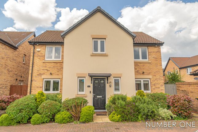 Thumbnail Detached house for sale in Cold Mill Road, Newport