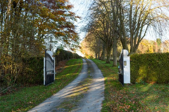 Gated Driveway
